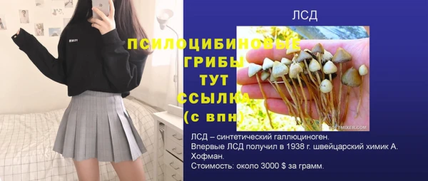 PSILOCYBIN Орск
