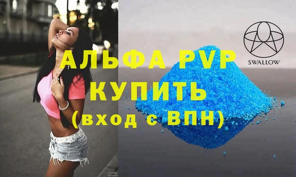 стаф Кулебаки