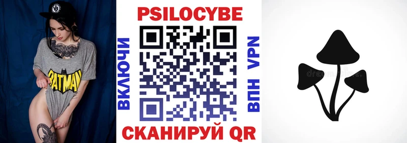 Купить закладки  Оленегорск  Псилоцибиновые грибы Cubensis 